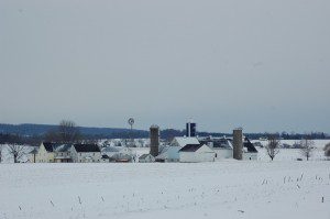 Winter field 3