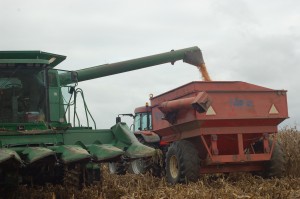 John Burkholder Fall Corn Harvest 10-27-12