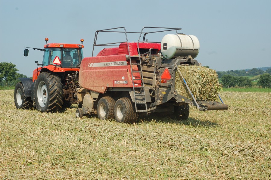 Dual Purpose Cover and Forage Crop Mixes - King's AgriSeeds