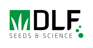 DLF